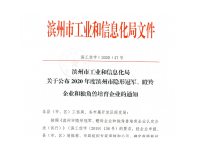 滨州市“瞪羚企业”、“隐形凯发K8国际首页,凯发k8娱乐平台,K8凯发·国际官方网站企业”